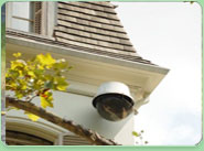 electrical installation Carlton